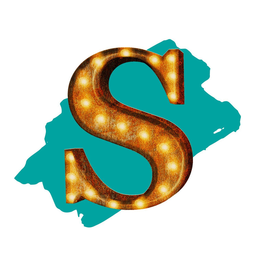 S Led Letters Light Up Letter S - The Rusty Marquee